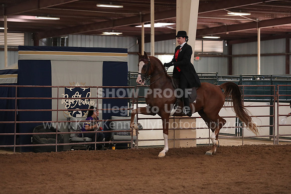 SilverBuckle20_SunAM_4974