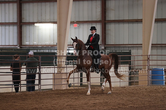 SilverBuckle20_SunAM_4973