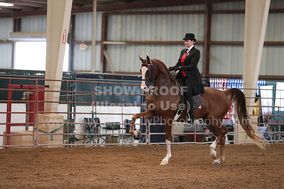 SilverBuckle20_SunAM_4980