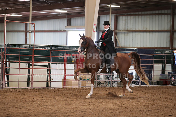 SilverBuckle20_SunAM_4981