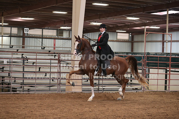 SilverBuckle20_SunAM_4983