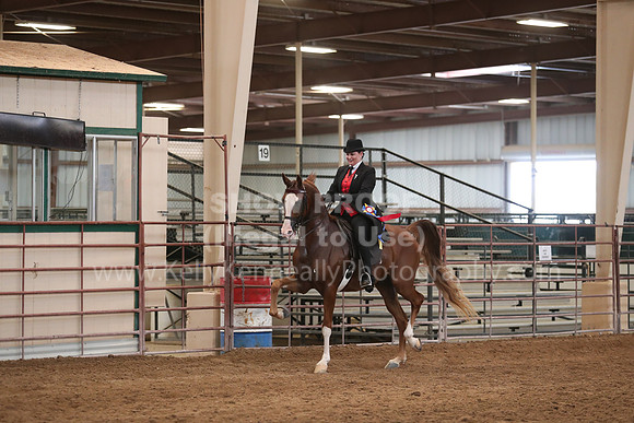 SilverBuckle20_SunAM_4990