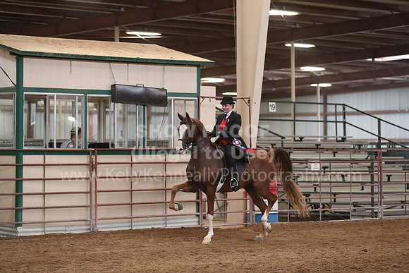 SilverBuckle20_SunAM_4993