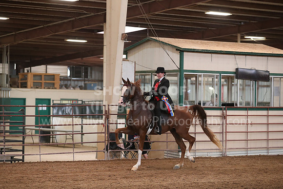 SilverBuckle20_SunAM_4994