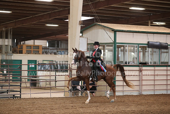 SilverBuckle20_SunAM_4995