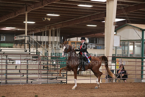 SilverBuckle20_SunAM_4997