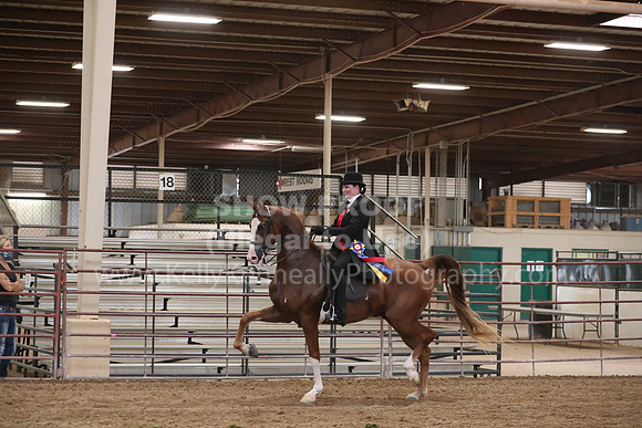 SilverBuckle20_SunAM_4999