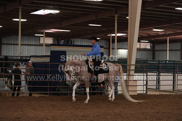 SilverBuckle20_SunAM_5047
