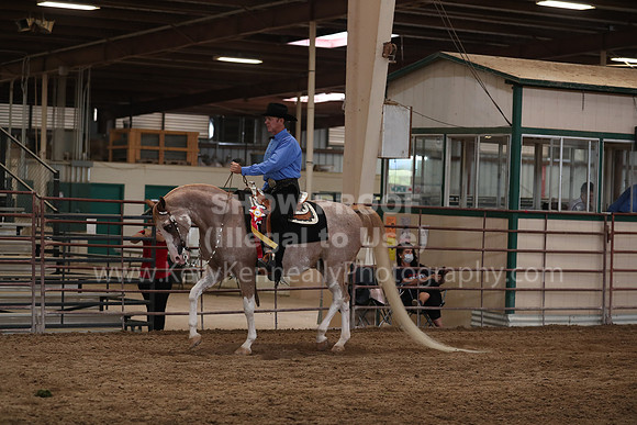 SilverBuckle20_SunAM_5061