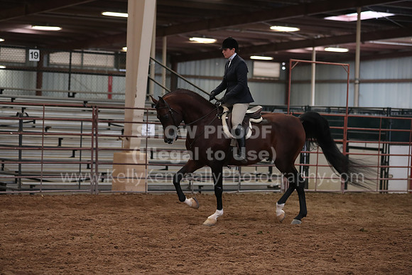 SilverBuckle20_SunAM_5137