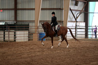 Class 298 HA/AA Hunter Pleasure JTR Championship