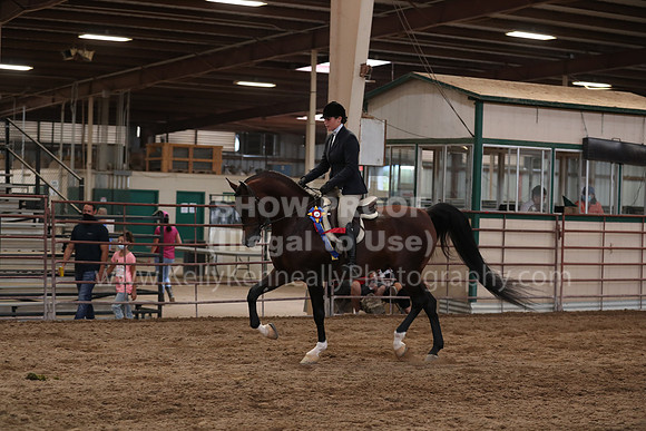 SilverBuckle20_SunAM_5158