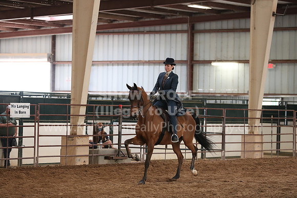 SilverBuckle20_SunAM_5196