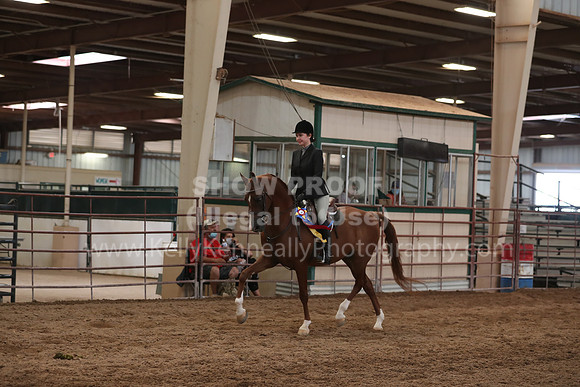 SilverBuckle20_SunAM_5173