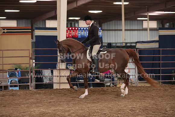 SilverBuckle20_SunAM_5352