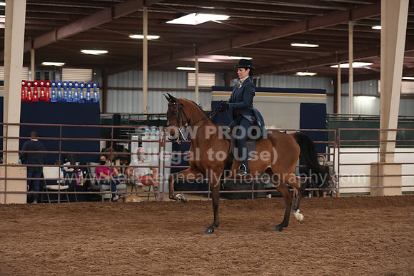 SilverBuckle20_SunAM_5201
