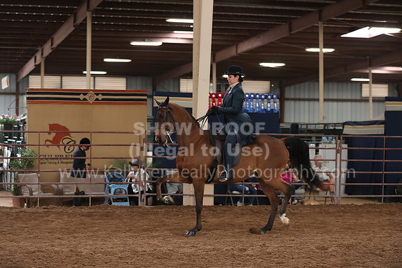 SilverBuckle20_SunAM_5215