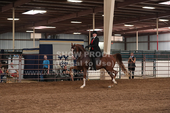 SilverBuckle20_SunAM_5217