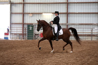 Class 303 Arabian English Show Hack  Championship