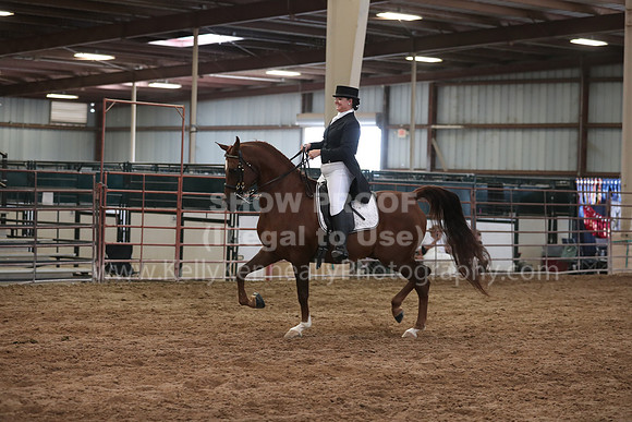 SilverBuckle20_SunAM_5410
