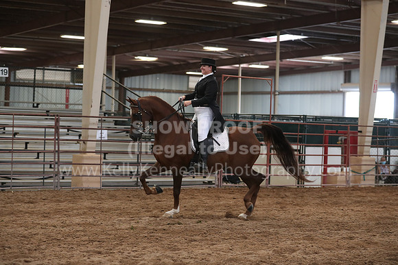 SilverBuckle20_SunAM_5412