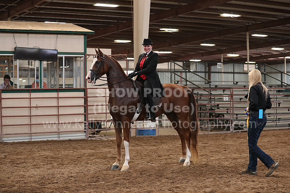 SilverBuckle20_SunAM_5220