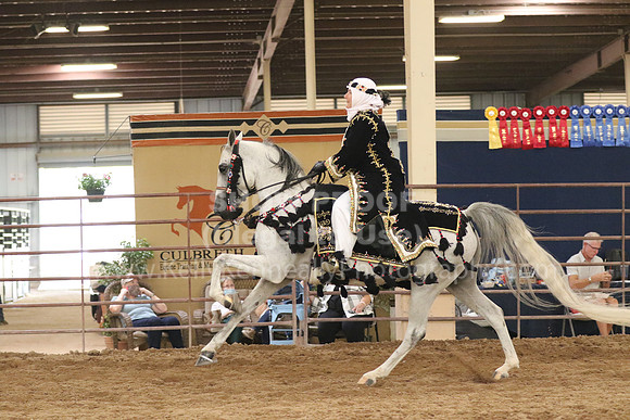 SilverBuckle20_SunAM_2247
