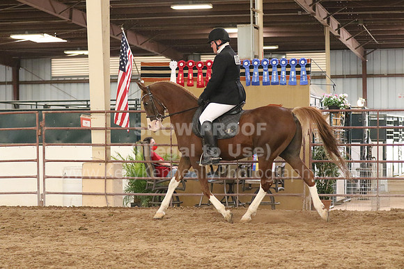 SilverBuckle20_SunAM_2322