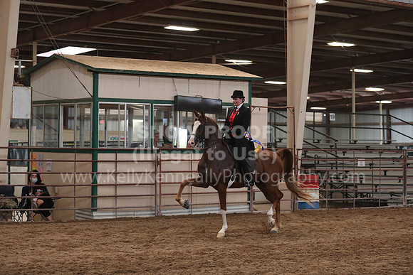 SilverBuckle20_SunAM_5240