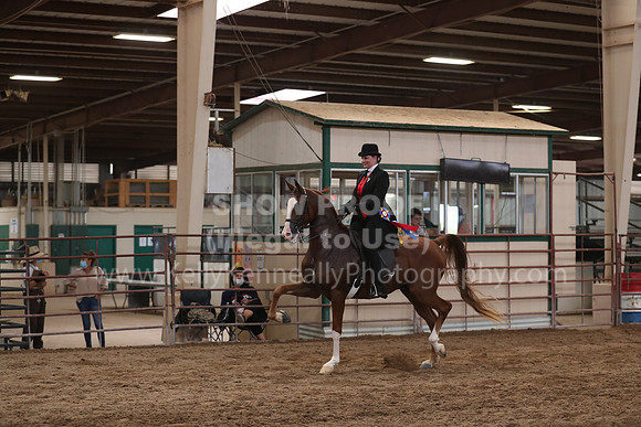SilverBuckle20_SunAM_5242