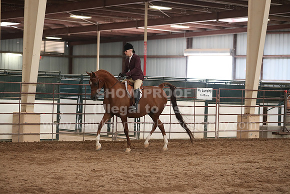SilverBuckle20_SunAM_5504