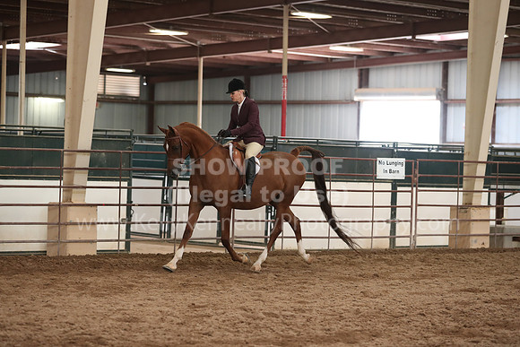 SilverBuckle20_SunAM_5505