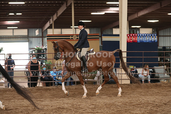 SilverBuckle20_SunAM_5507