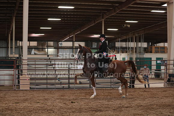 SilverBuckle20_SunAM_5248
