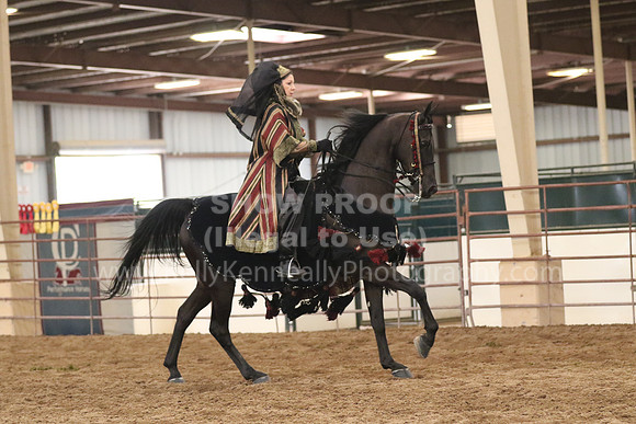 SilverBuckle20_SunAM_2275
