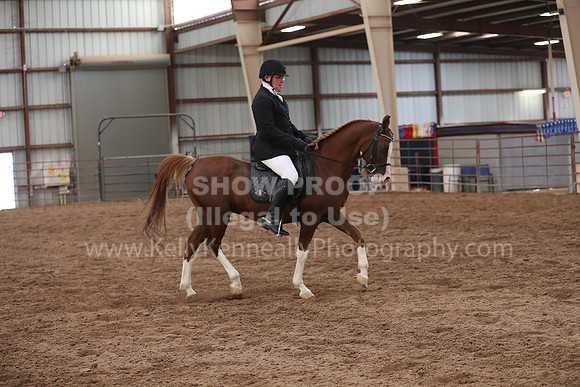 SilverBuckle20_SunAM_5463