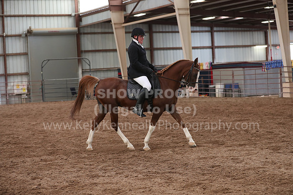 SilverBuckle20_SunAM_5464