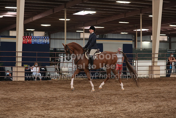 SilverBuckle20_SunAM_5524