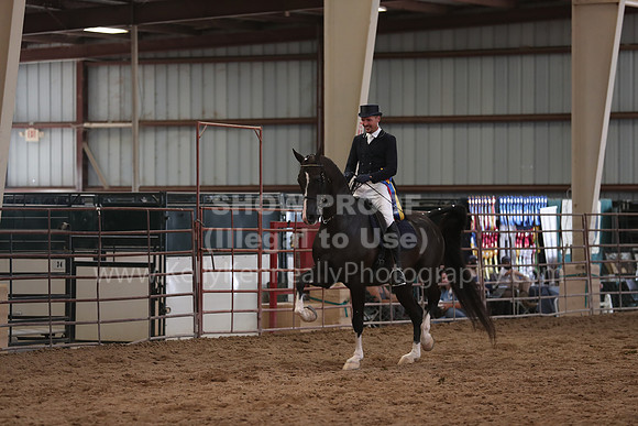SilverBuckle20_SunAM_5918