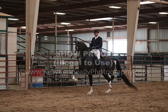 SilverBuckle20_SunAM_5921