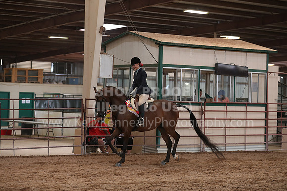 SilverBuckle20_SunAM_5534