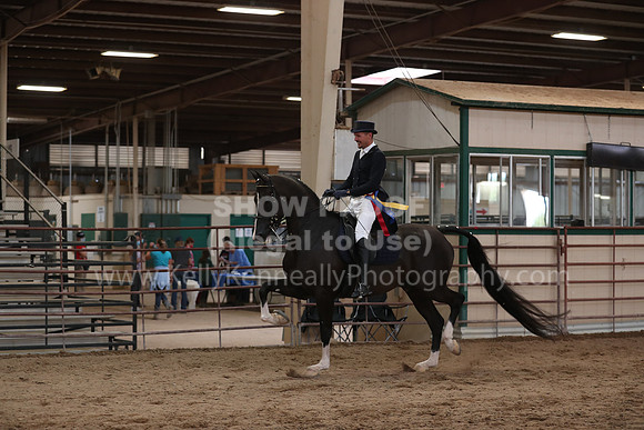SilverBuckle20_SunAM_5926