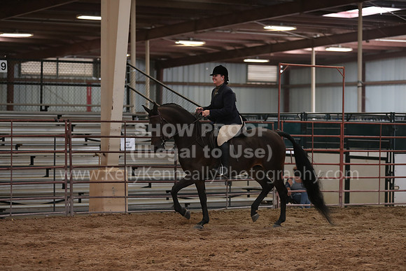 SilverBuckle20_SunAM_5614