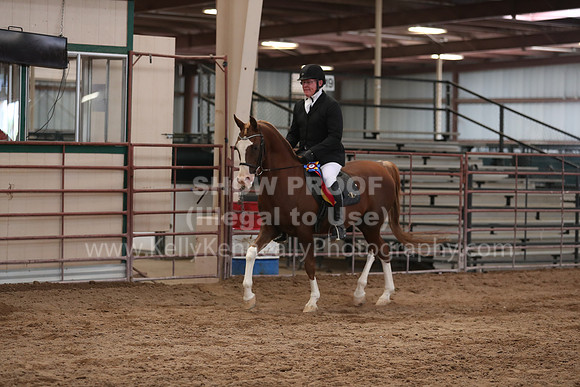 SilverBuckle20_SunAM_5479