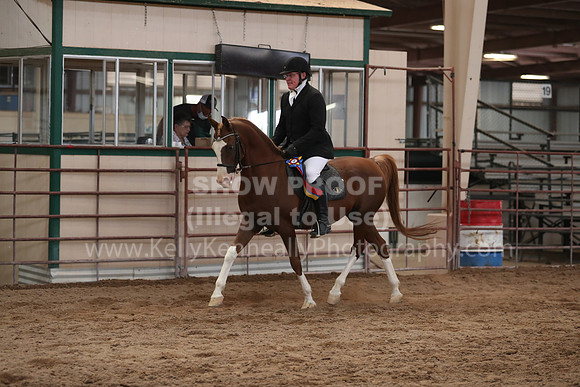 SilverBuckle20_SunAM_5483