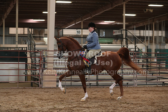 SilverBuckle20_SunAM_5552