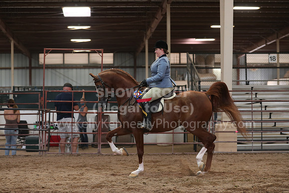 SilverBuckle20_SunAM_5553