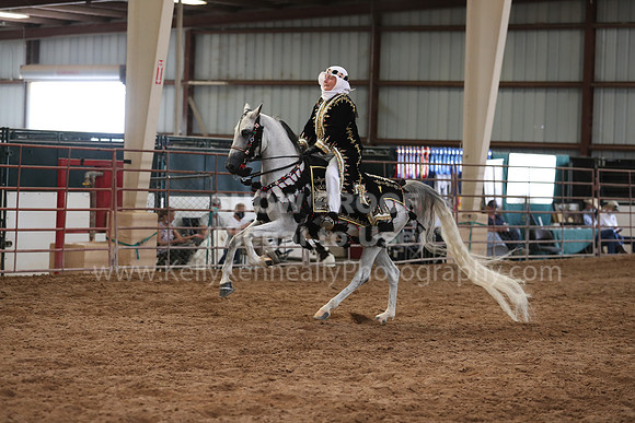 SilverBuckle20_SunAM_5431