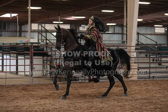 SilverBuckle20_SunAM_5441