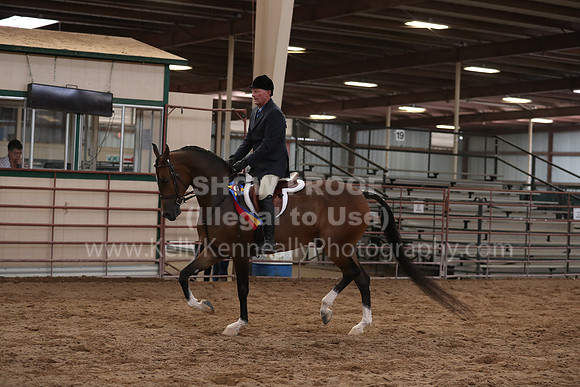 SilverBuckle20_SunAM_5656
